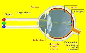 Schema Occhio